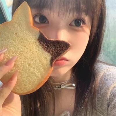气盖山河 封面